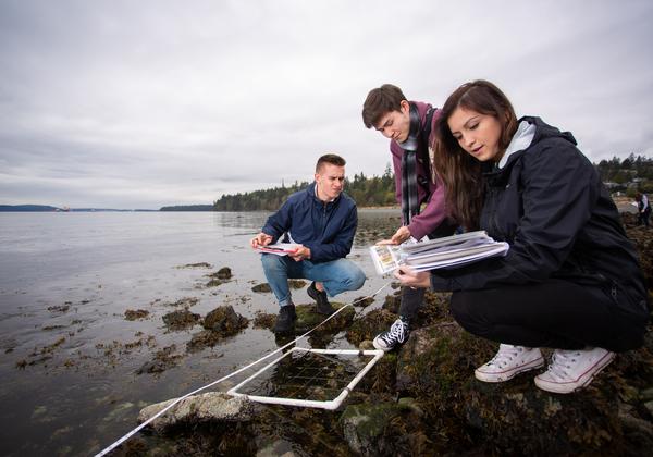 Students with quadrats on beach