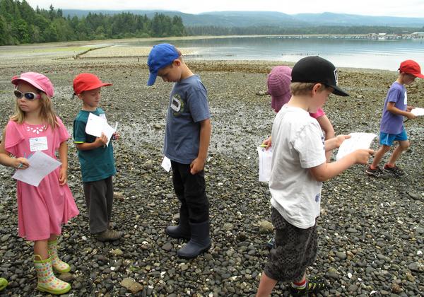 Students on the beach holding paper