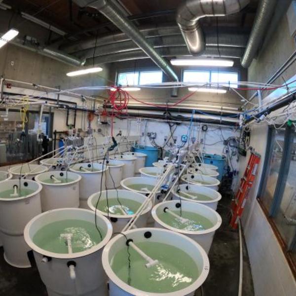 Large white bins in lab