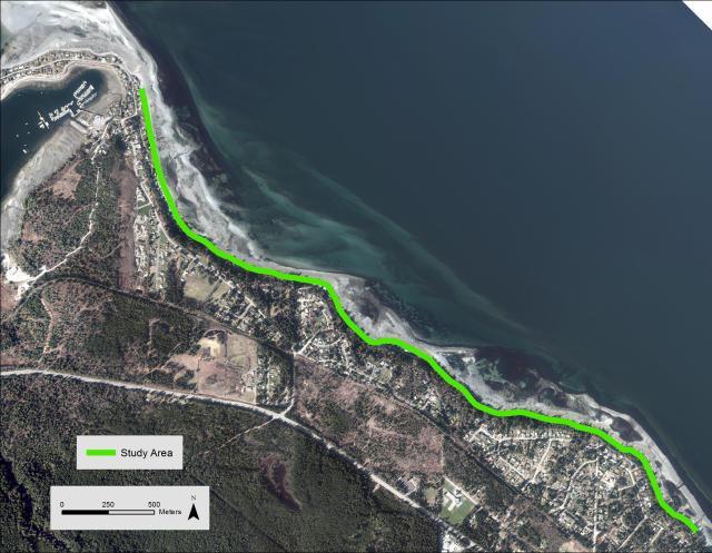 Monitoring seaweed study area: Deep Bay